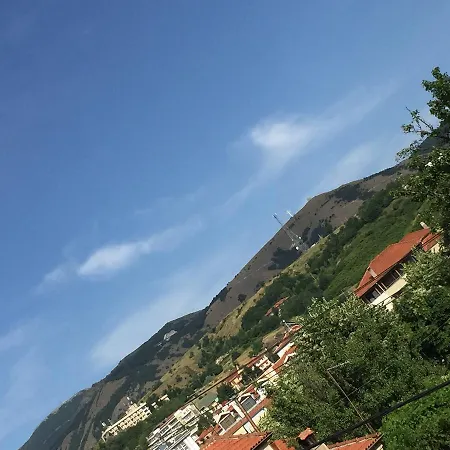 Gold Korce